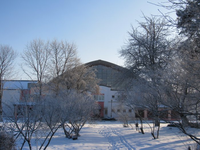 График работы центра в выходные и праздничные дни 2026