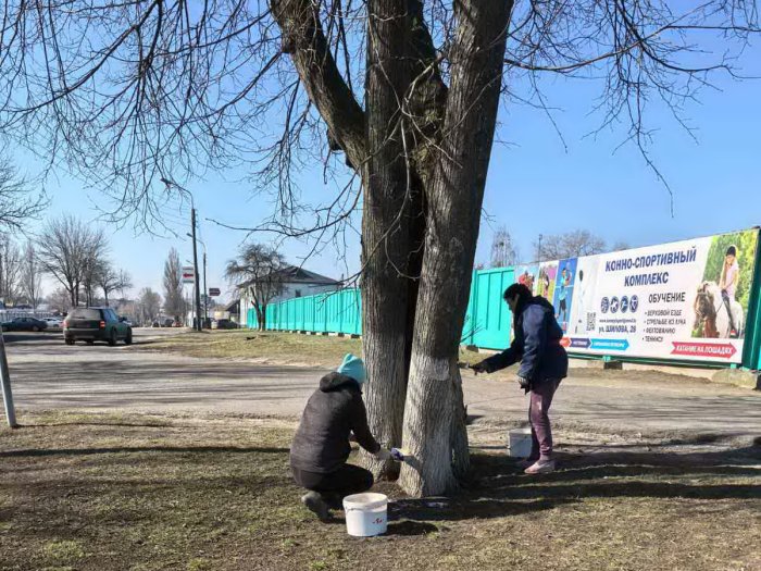 Коллектив центра принял участие в областном субботнике 22 марта