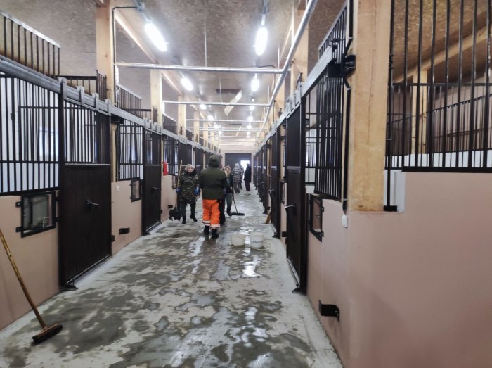 Акция «Чистый четверг» 12 декабря