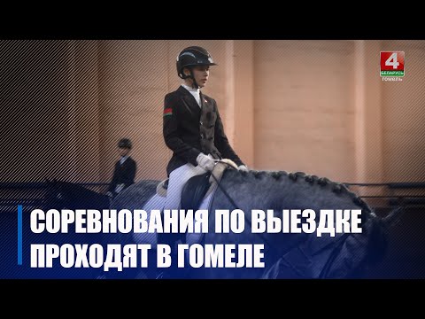 Соревнования по конному спорту среди юношей и девушек проходят в Гомеле_ Телеканал Беларусь 4